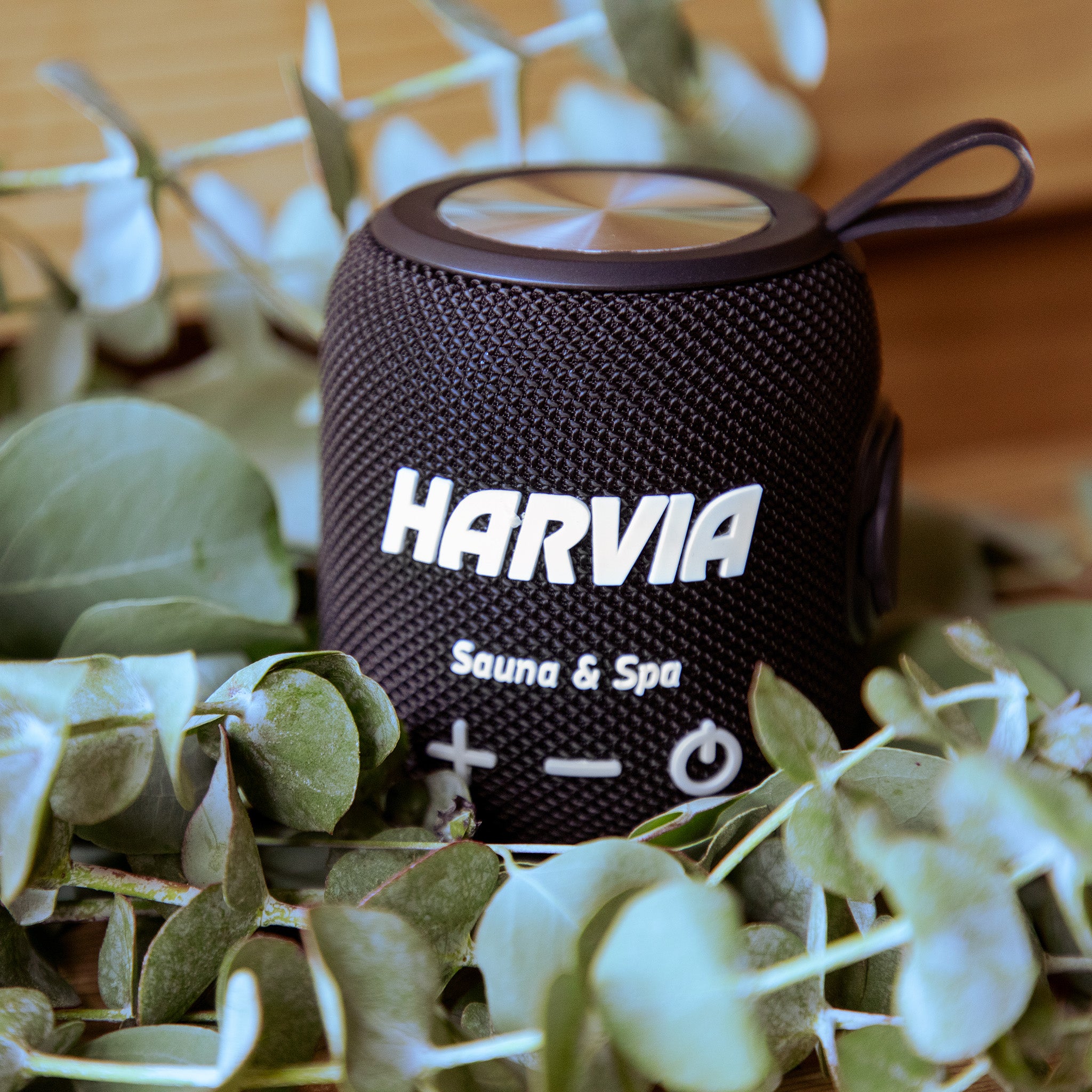 Harvia Wireless Speaker | Redwood Outdoors