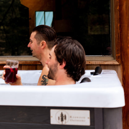 Sequoia Wi-Fi Hot Tub - 3 Person - 120V