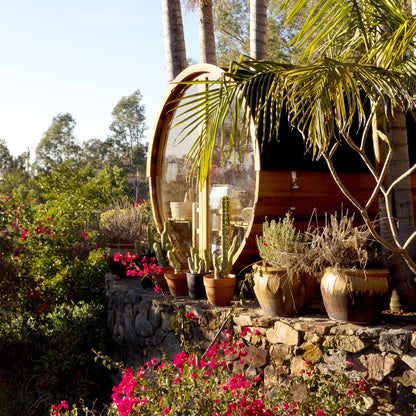 Redwood Outdoors Horizon 6 person outdoor sauna outside life style photo of sauna overlooking a garden space in the daylight. View of rear window.